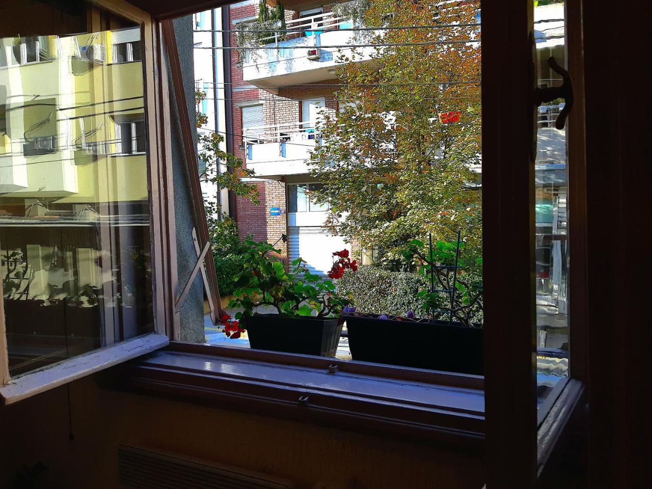 Jelena Apartment Belgrade Luaran gambar